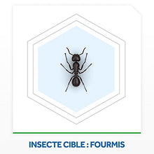 Charger l'image dans la galerie, Raid Anti-Fourmis - lot de 2