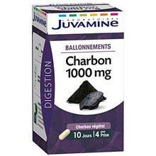 Charger l'image dans la galerie, Juvamine Ballonnements Charbon