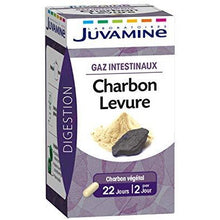 Charger l'image dans la galerie, JUVAMINE Charbon Levure